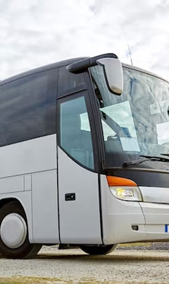 bus
