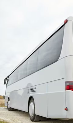 bus-back